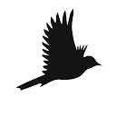 Escabags logo