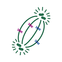 ESCO ASTER PTE. LTD. logo