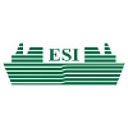 Electoral Services International Inc. (Esi) logo