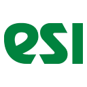ESI Technology Ltd.