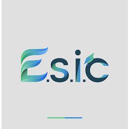 Logo ESIC-Ecole Supérieure d'Informatique et du Commerce