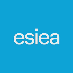 Logo ESIEA - Ecole d'Ingénieurs en Sciences et Technologies du Numérique