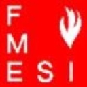 Esi/Fme Structural Engineers logo
