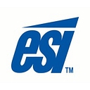 Esi Enterprises, Inc. logo