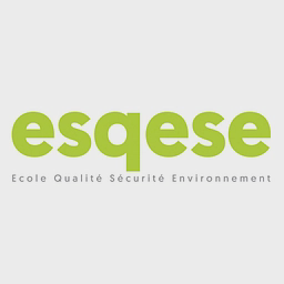Logo ESQESE - Ecole Supérieure pour la Qualité, l'Environnement et la Sécurité-Santé en Entreprise