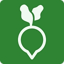 Favicon of Essayer Consulting Group