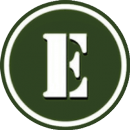 Essay Video LLC logo