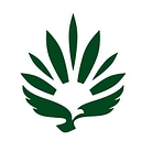 Essence Cannabis Dispensary logo