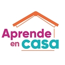 estudiarenlinea.net logo