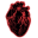 Euphoria Pre logo
