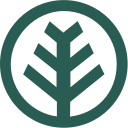 Evergreennephrology