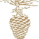 Evergreen Private Care logo
