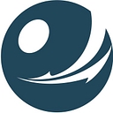 Everison International Group Inc. logo