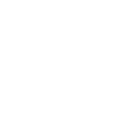 Everstar logo