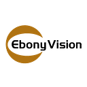 One Vision International logo