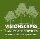 Visionscapes logo