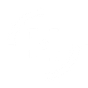 Evolon logo