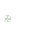 Evolution Media logo