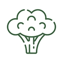 Evolution Nutrition Counseling By Dietitians logo