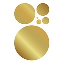 Favicon of Evolve Biosystems