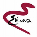 Evuna Limited logo