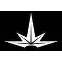 Exceleon Group logo