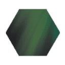 Execontrol Global Solutions logo
