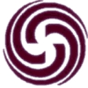 Executive Diversity Services, Inc. logo