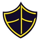 Executive Force Security