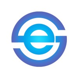 Executive Software Guild Inc logo
