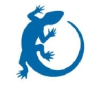 Exotix Capital logo