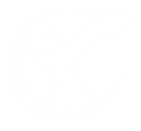 Experience Momentum logo