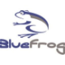 Double V Industries, DBA BlueFrog Embroidery logo