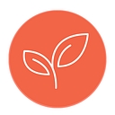 Favicon of Expertease Tuition
