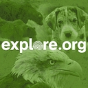 explore.org logo