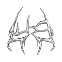 Exposed logo