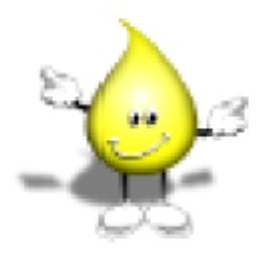 Express Lube logo