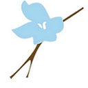 Extended Family Home Care