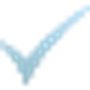 Extra Value Checks logo