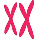Favicon of eXXpedition