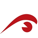 Eyemax Security Video Surveillance logo