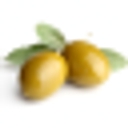 factmarioncounty.org icon