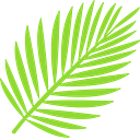 Fair Advice Nz Limited logo