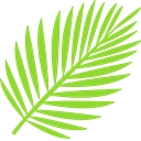 Fair Advice NZ Limited logo