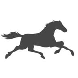 Fair Hill Equine Therapy Center, LLC logo