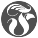 Falcon Investment Management logo