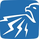 Falcon Electrical Engineering Limited logo