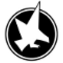 Falcon Logic logo