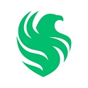 Team Falcons logo