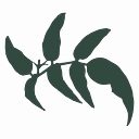 Fall Real Estate logo